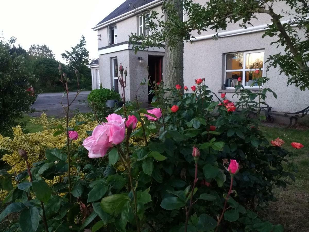 Lisieux House On Lough Neagh Acomodação com café da manhã Aghalee Exterior foto